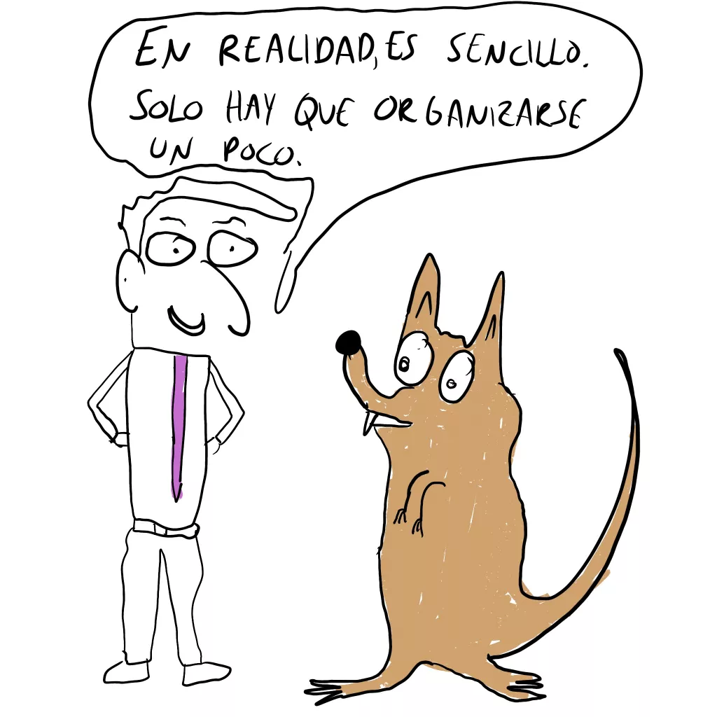 simple regla